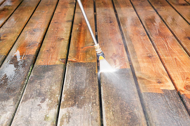 Animal Enclosure Cleaning in Hinesville, GA